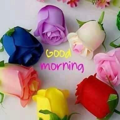 lOvhWFwH3k9ZY8l's profile picture. 