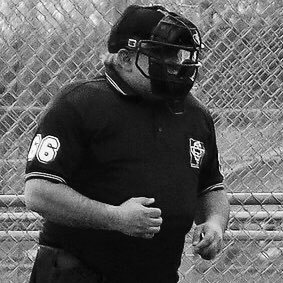 Technology Services Management | Umpire Minnesota Dist 1 | Aspiring Hand Model