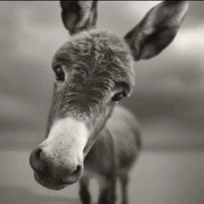 CFeieee's profile picture. 旅遊 國際體育 時尚