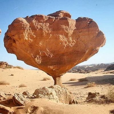 ‏‏‏عندما تكون قراراتك الهامآ فانت جديرا بمهابة تليق بك