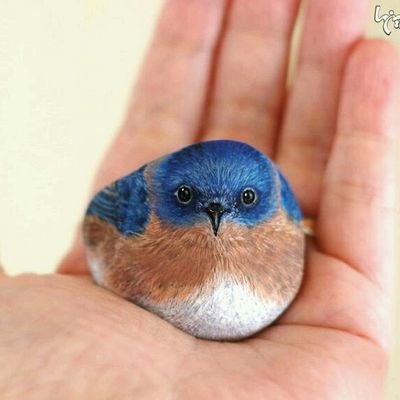 Monaaj6's profile picture. سرکارم با رنگ و کتاب و کودک و نوجوان