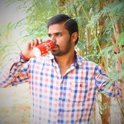 SunilCh29252536's profile picture. 