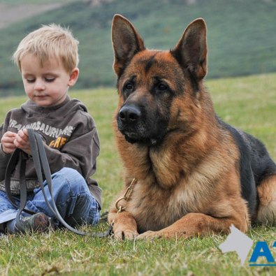FASHION DESIGNING is passion 🖌️
GERMAN SHEPHERD is Love 🐶
What did humans do to deserve German Shepherds?🙃
FASHION is a way to say WHO YOU ARE without saying 😎