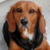 SCHWARZER Brunhilde (@brunesmh) Twitter profile photo SCHWARZER Brunhilde (@brunesmh) Twitter profile photo
