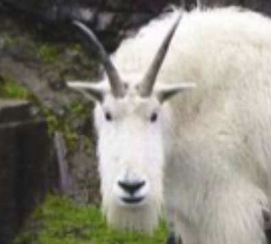 ChurchWebSherpa's profile picture. Churches, Web Marketing, Social Media, SEO