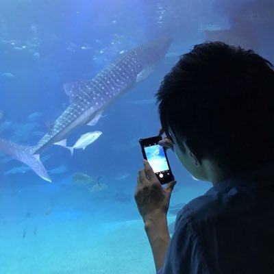 カメ