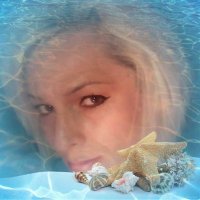 Sandra Burton - @SandraB85381148 Twitter Profile Photo