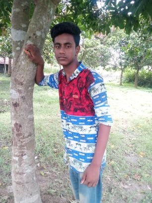 HossenSaime's profile picture. 