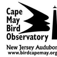 Cape May Bird Obs. (@cmbobirds) 's Twitter Profile