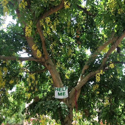 Citizens speak out for the environment: Trees. Air. Water. Earth. Fight. For. Our. Lives. Based In Delhi, concerned about the Planet & it’s people.