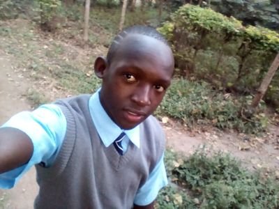 Michael31326813's profile picture. 