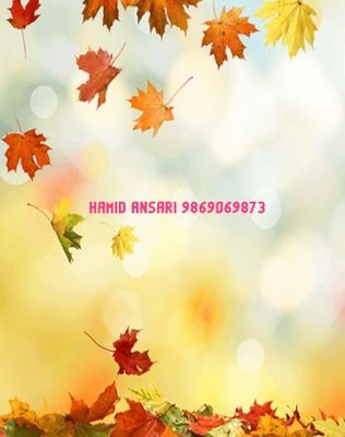 Hamidan66138307's profile picture. 