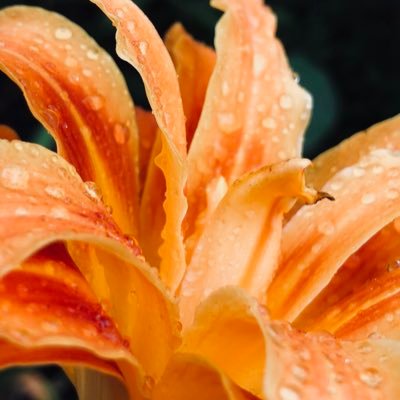 GrantV39278023's profile picture. Photography is my hobby