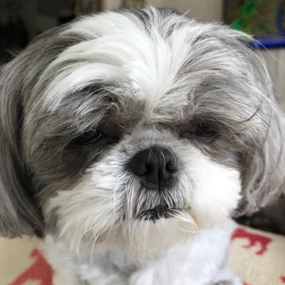jASMANNsawadee's profile picture. Republican supporter, Trump supporter. protect our borders.#MAGA#redwave#build the wall Trump2020🇺🇸
