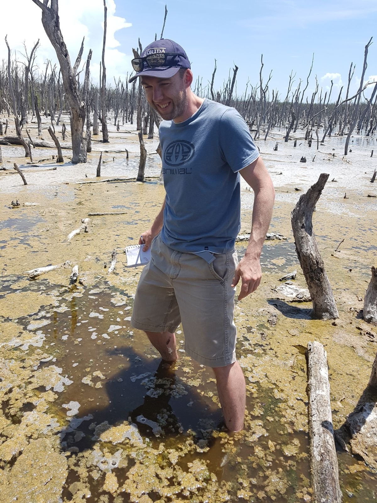 Wetland & Freshwater researcher/lecturer @ Bangor University, UK.