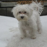 Kennie (@kennie70428335) 's Twitter Profile Photo