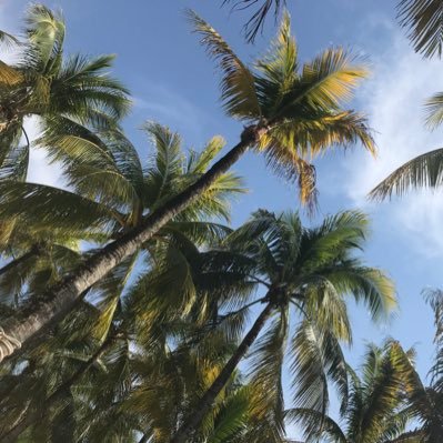 kellyhassan's profile picture. 