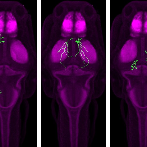 We are a group of neuroscientists at the University of Utah