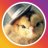 トラハム(◉Θ◉)のアイコン