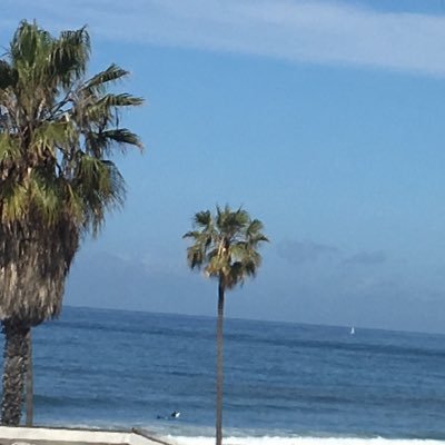 grakorvt's profile picture. i want information before those without twitter