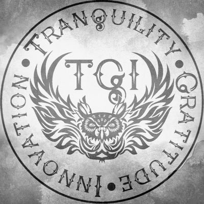 TGi is a youth organization focused on uniting youth throughout Chicago to promote a lifestyle of Tranquility-Gratitude-Innovation. #TGi #DDTO