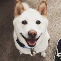 M T (@minhteee) 's Twitter Profile