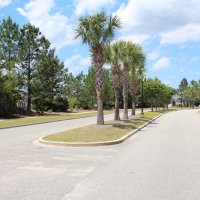 Myrtle Beach Living(@MBrealproperty) 's Twitter Profileg