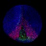 labonnelab's profile picture. #DevBio Lab at NorthwesternU Studying Pluripotency, Neural Crest Stem Cells and the Evolution of Vertebrates. Recovering Former Dept. Chair, Diversity Advocate.