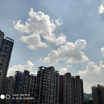 自由社会人