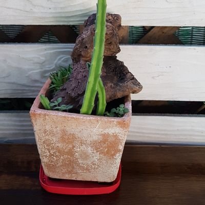 phafunt1's profile picture. ENGO