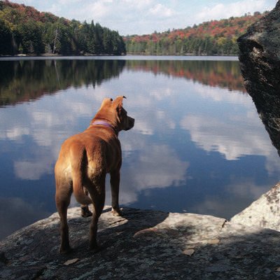 Posting #hiking adventures in #ADK mountains #Adirondacks