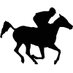 Horse Racing Videos (@IndiaRaceVideo) Twitter profile photo