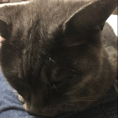 名古屋在住。コインチェックにて仮想通貨取引を始めました。 paypay証券にて米国株保有中。クリスペ隠居はじめました。