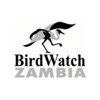 BirdWatch Zambia (@birdwatchzambia) 's Twitter Profile