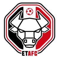 EasingwoldTownAFC(@EasingwoldTownA) 's Twitter Profile Photo