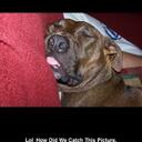 Jacob Border - @jjjborder23 - Twitter