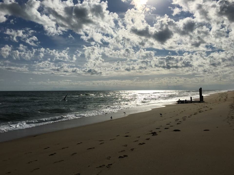 JKpsu01's profile picture. Faith & Family.