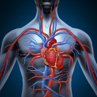 Journal of Vascular and Endovascular Therapy (@vessurgery) 's Twitter Profile