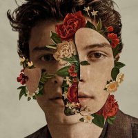 INFO MENDES ⚘ (@infomendes2) 's Twitter Profile