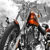 sergioe15584608's profile picture. 