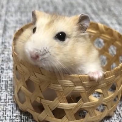 hiro19901221's profile picture. 感謝の気持ちを大切に。かけがえのない君に、そして母に。ありがとう