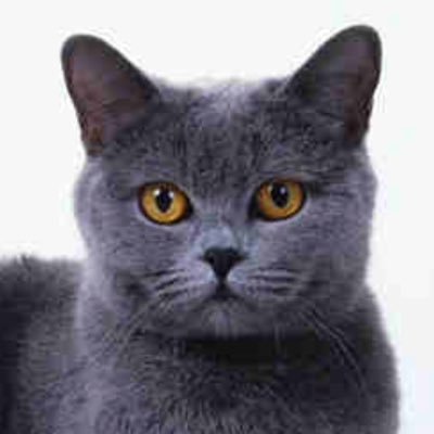 rolandcaspe's profile picture. 