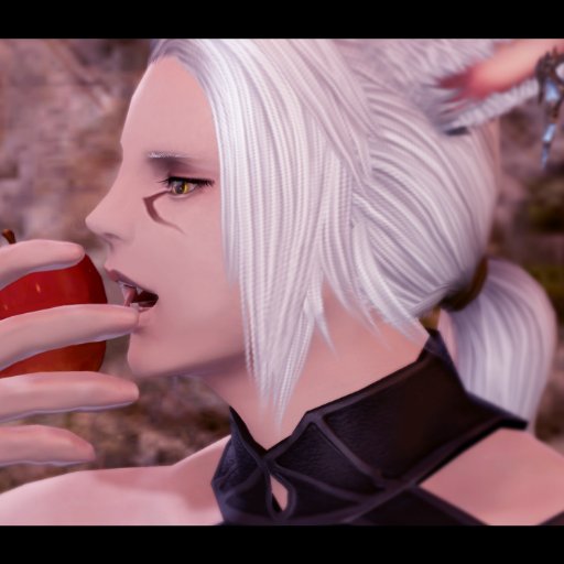 선우 진さんのプロフィール画像