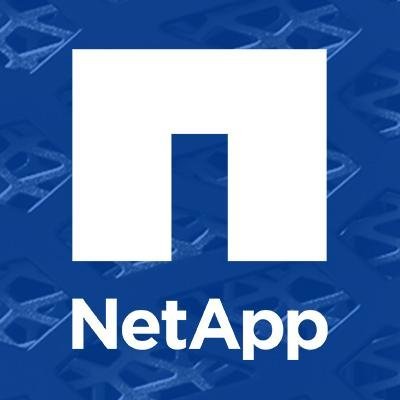 Business Solutions Architect for Netapp Commercial Northeast