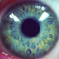 Kevin Delee (@feistykev) 's Twitter Profile