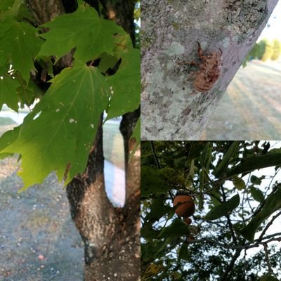 Room1171's profile picture. Check out what's happening in Ms. B's life science classroom!