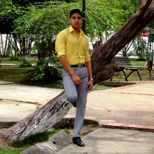 pedrogo66455128's profile picture. Caracas 📍 Trujillo Venezuela . comunicación social