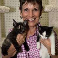 Linda Wilson Children's Author (@linwilsonauthor) 's Twitter Profile