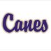 CHSHurricaneGolf (@hurricanechs) Twitter profile photo