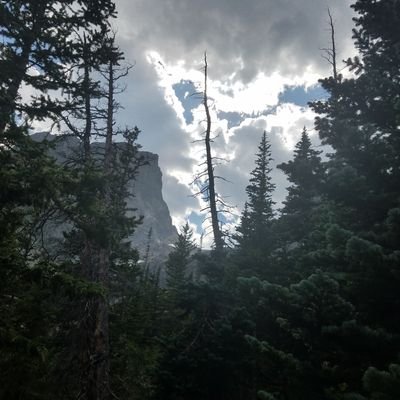 Runxcforever's profile picture. 